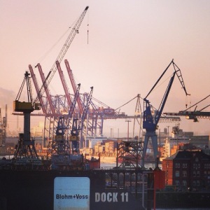 fischmarkt dock 11 hamburg